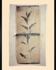 Grow