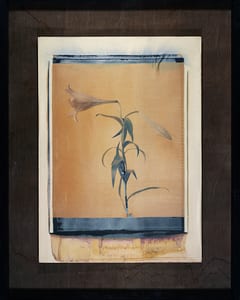 Lilien Tryptichon (Gelb)