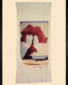 Rose II
