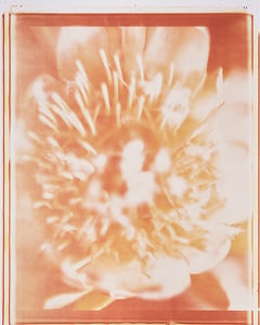 0845 Igel II