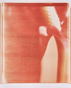 0858 Anturie IX