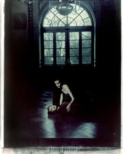 the series photography paintings by werner pawlok, photographed with the large polaroid camera