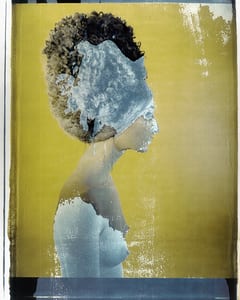 the series photography paintings by werner pawlok, photographed with the large polaroid camera