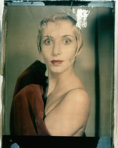 the series photography paintings by werner pawlok, photographed with the large polaroid camera