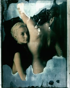 the series photography paintings by werner pawlok, photographed with the large polaroid camera