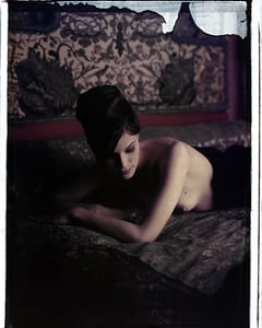 the series photography paintings by werner pawlok, photographed with the large polaroid camera
