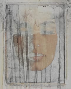 transfers, a photographic series by werner pawlok, by using the large format polaroid camera