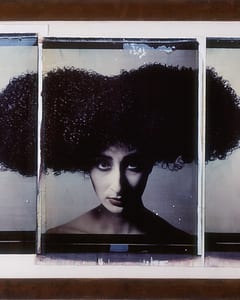 transfers, a photographic series by werner pawlok, by using the large format polaroid camera