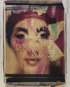 transfers, a photographic series by werner pawlok, by using the large format polaroid camera