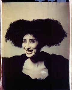 transfers, a photographic series by werner pawlok, by using the large format polaroid camera