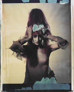 transfers, a photographic series by werner pawlok, by using the large format polaroid camera