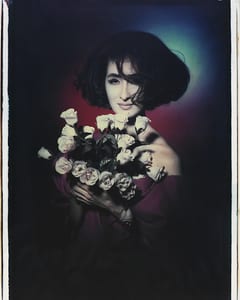transfers, a photographic series by werner pawlok, by using the large format polaroid camera