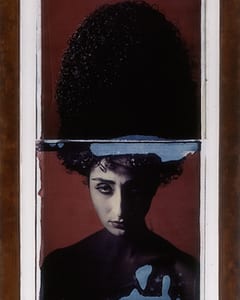 transfers, a photographic series by werner pawlok, by using the large format polaroid camera