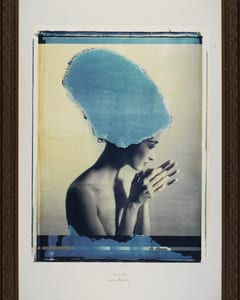 transfers, a photographic series by werner pawlok, by using the large format polaroid camera