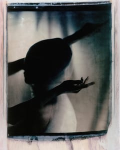 transfers, a photographic series by werner pawlok, by using the large format polaroid camera