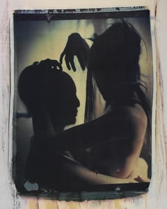transfers, a photographic series by werner pawlok, by using the large format polaroid camera