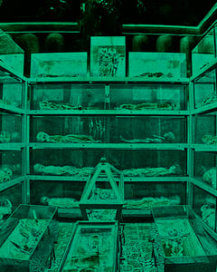 Cappuccini Catacombs I, Palermo