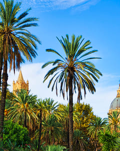 Cathedral I, Palermo