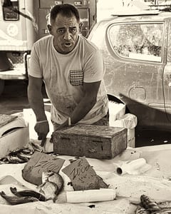 Mercato III, Trapani