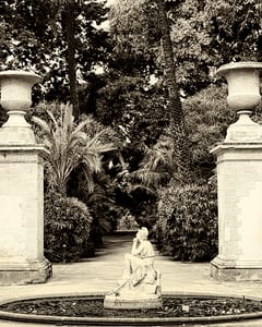 Orto Botanico I, Palermo
