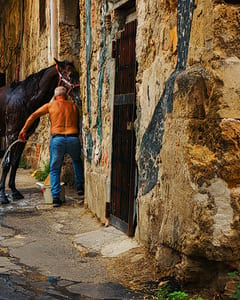 Street life with horse, Palermo