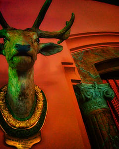 Villa Malfitano Whitaker III, Palermo