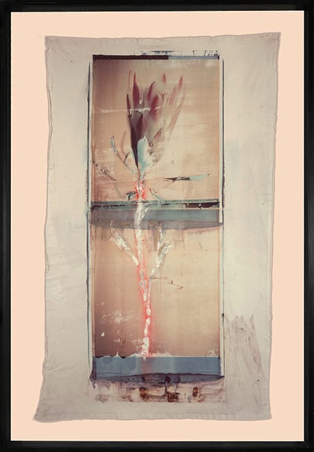 Flower Painting