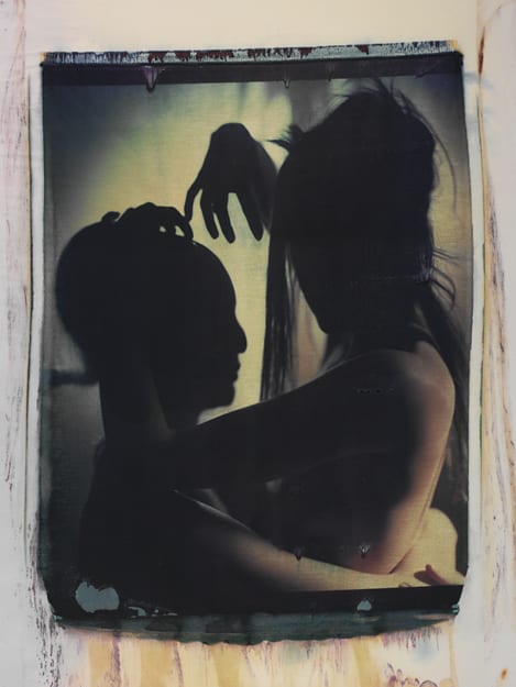 transfers, a photographic series by werner pawlok, by using the large format polaroid camera