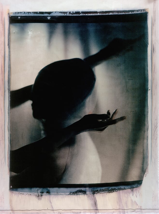transfers, a photographic series by werner pawlok, by using the large format polaroid camera